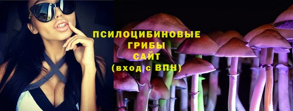 ешки Дмитровск