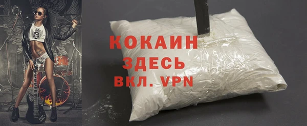 мяу мяу мука Дмитриев