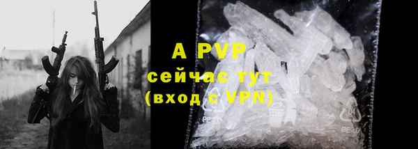 прущие грибы Дмитров