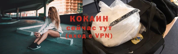 ешки Дмитровск