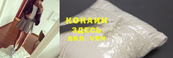 прущие грибы Дмитров