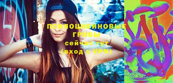 прущие грибы Дмитров