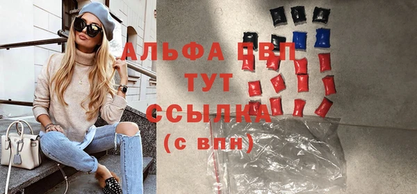 мяу мяу мука Дмитриев