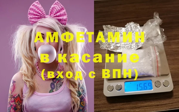 прущие грибы Дмитров