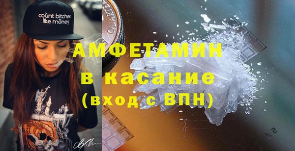 прущие грибы Дмитров