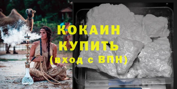прущие грибы Дмитров
