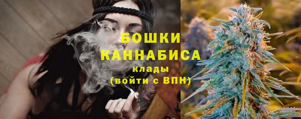 прущие грибы Дмитров