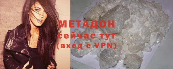 прущие грибы Дмитров