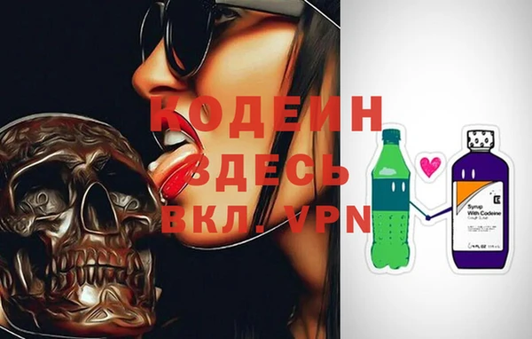 прущие грибы Дмитров
