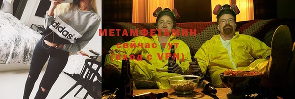 прущие грибы Дмитров